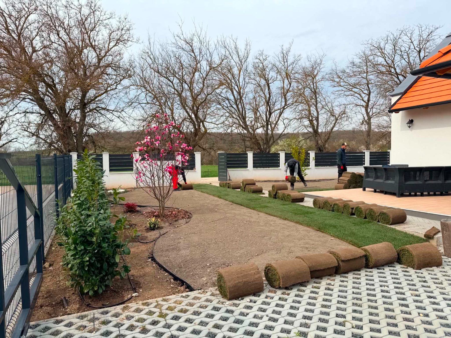Gyepszőnyeg terítése tavasszal