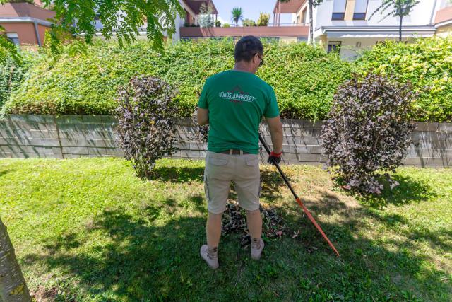 How to prepare your garden for winter